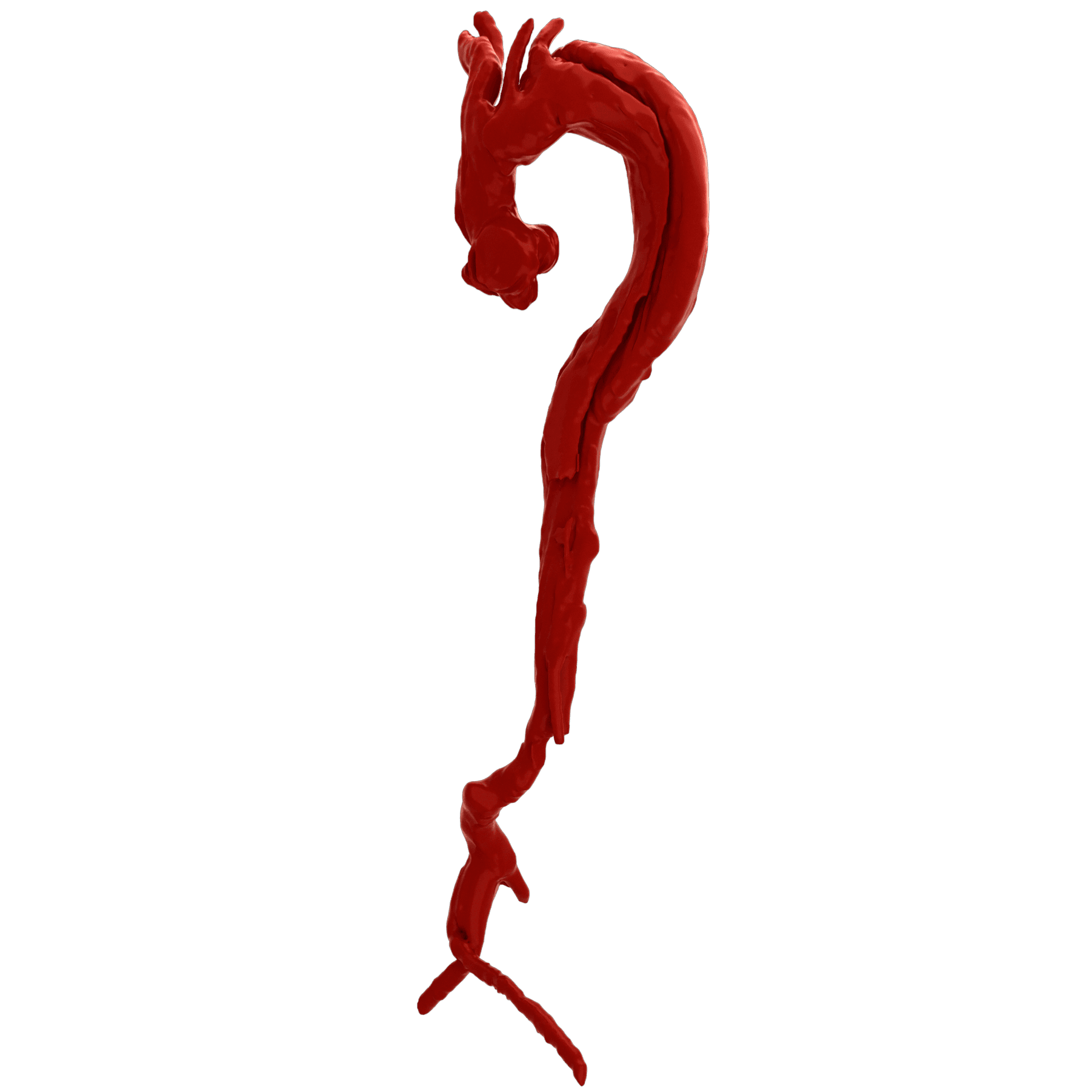 Three-dimensional segmentation of an aorta rendered in red